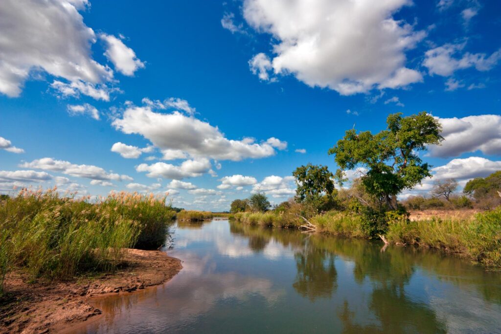 Kruger National Park, South Africa