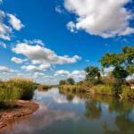 Kruger National Park, South Africa