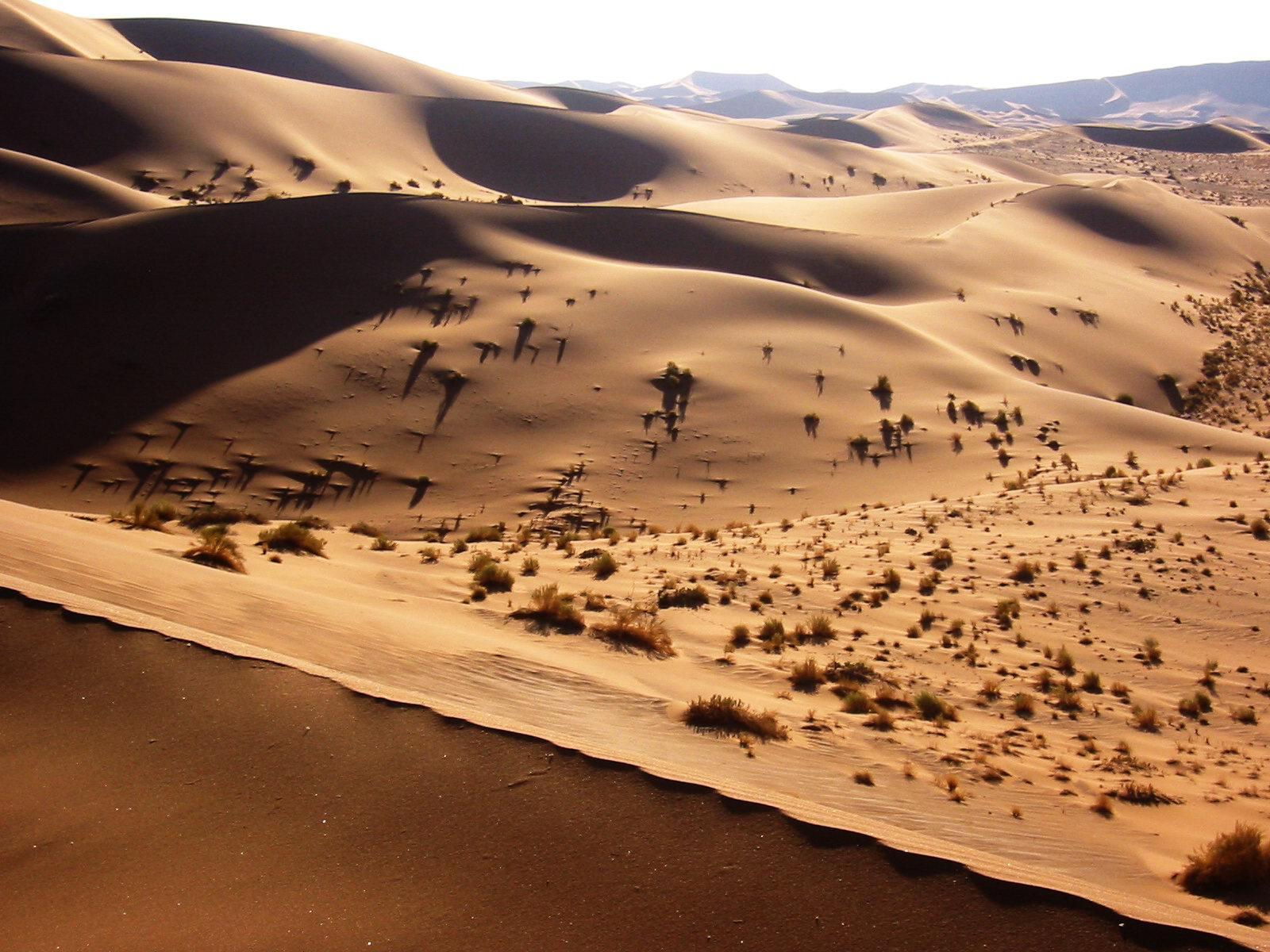 Namib Desert