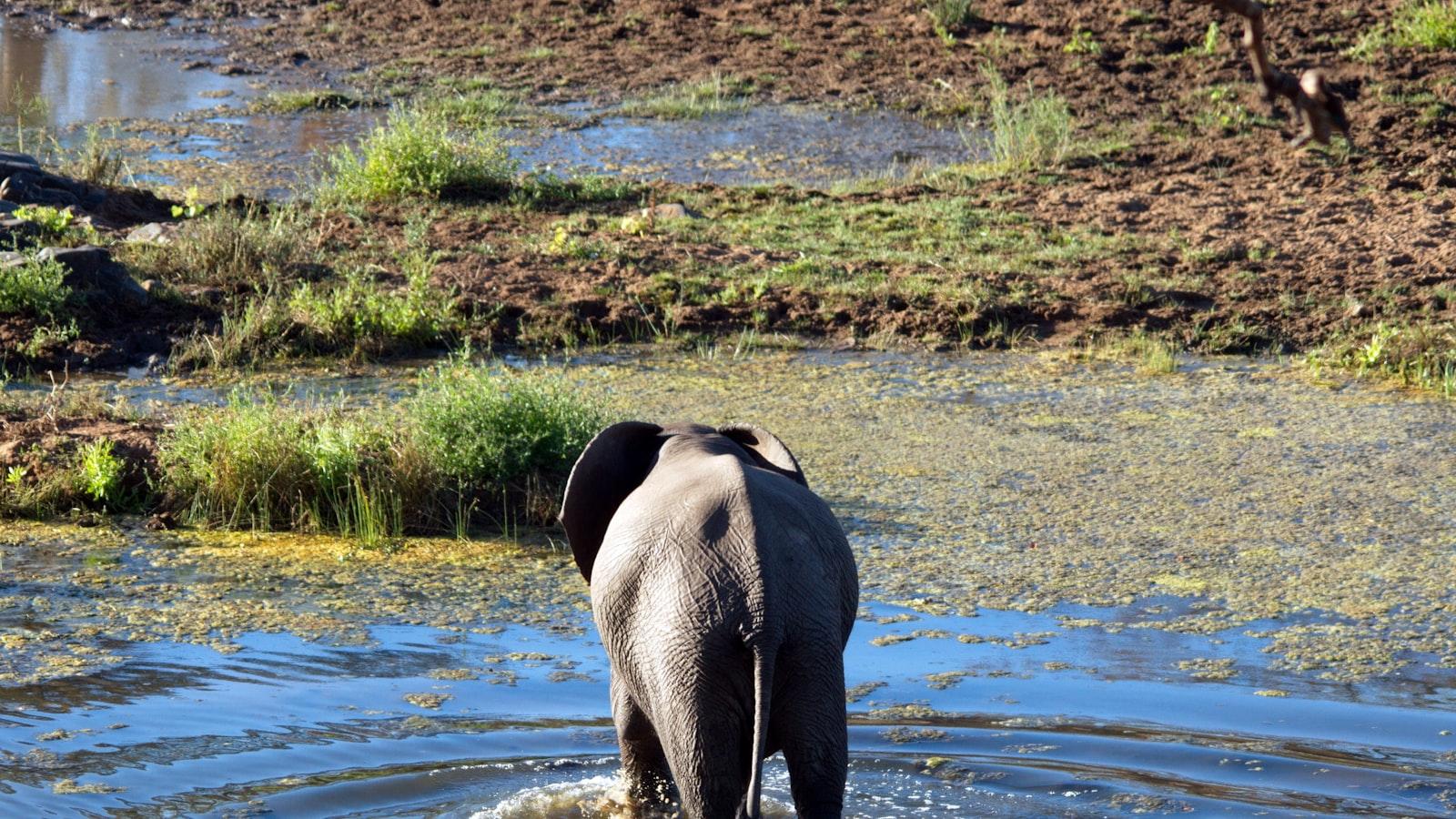 Kruger National Park