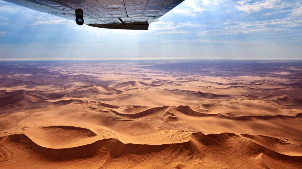 Skeleton Flee, Namibia