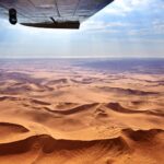 Skeleton Flee, Namibia