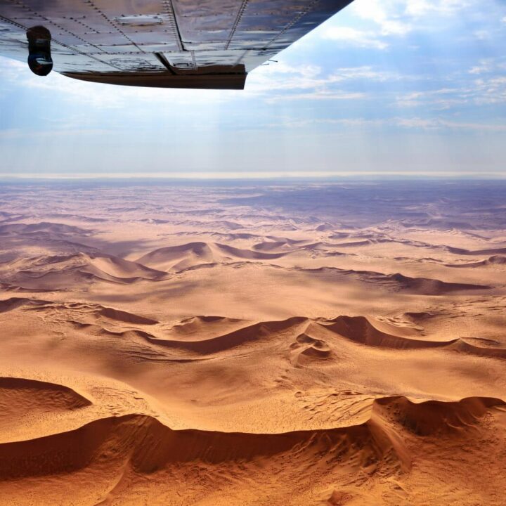 Skeleton Flee, Namibia