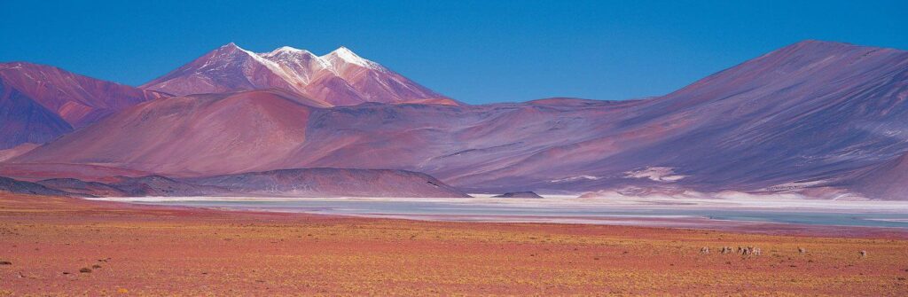 Atacama Barren build, Chile