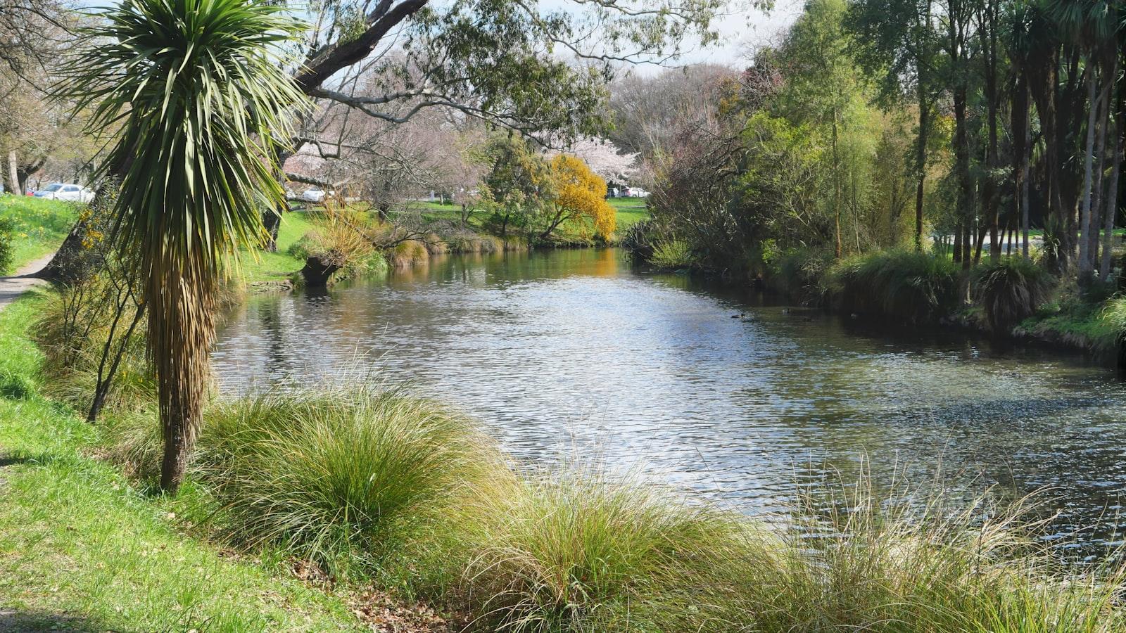 Profit from Culinary Delights in Christchurch's High Keen places