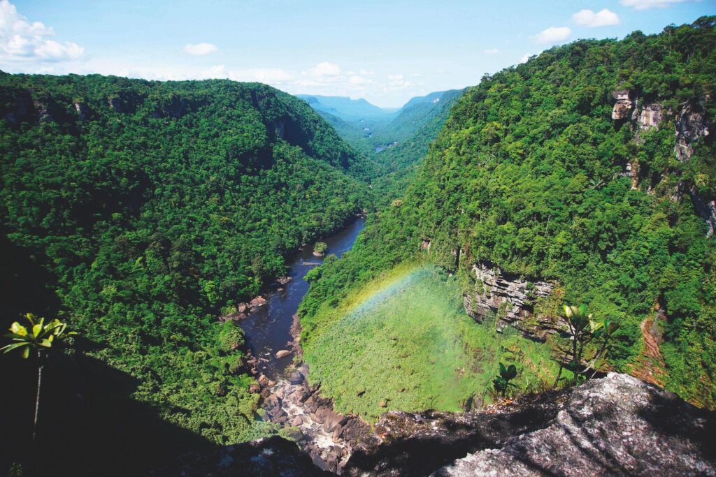 Amazon Rainforest, Brazil/Peru