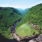 Amazon Rainforest, Brazil/Peru