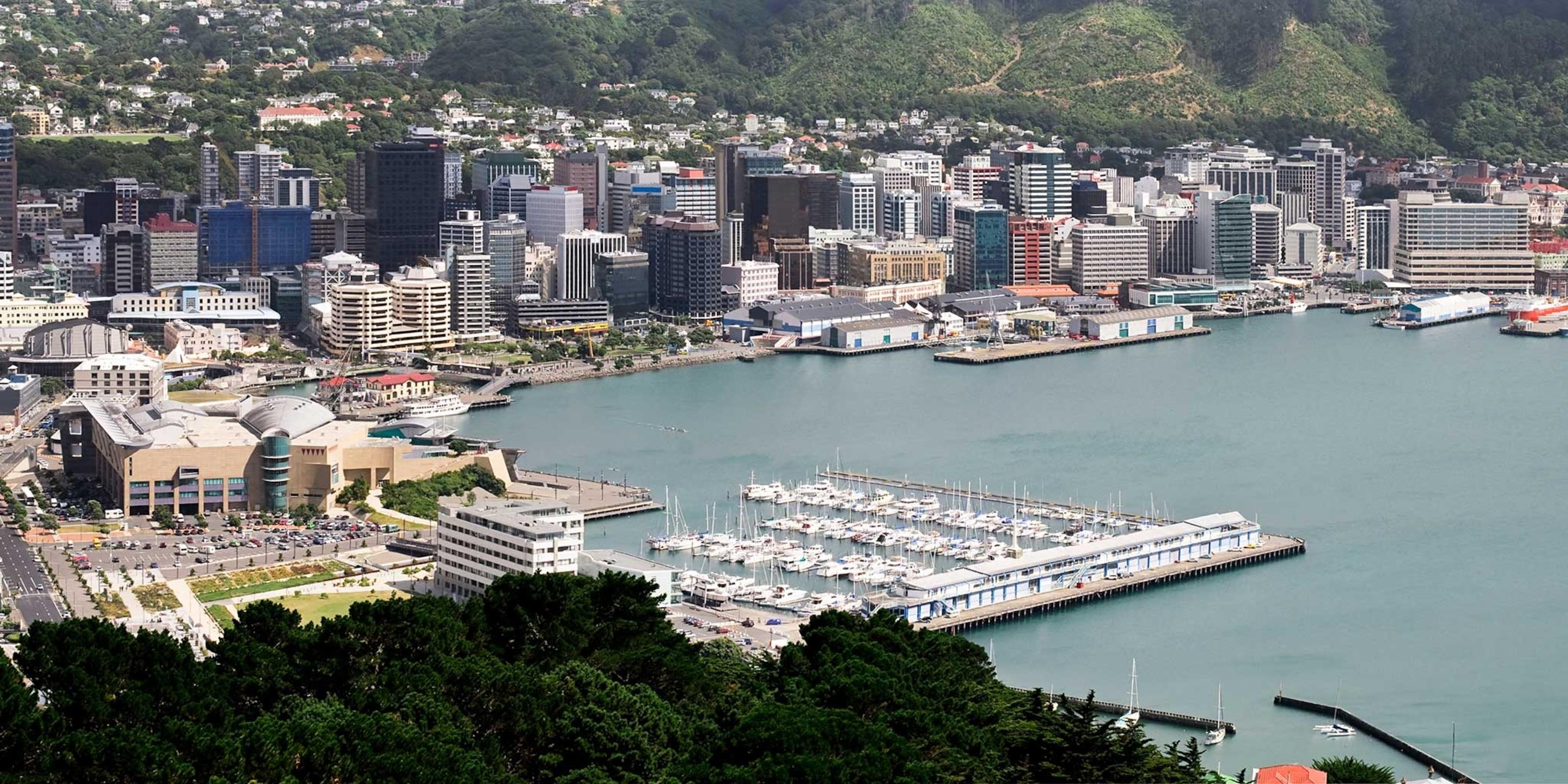 - Trip the Pure Great thing about Wellington with Scenic Walks and Outside Adventures