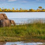 Okavango Delta, Botswana