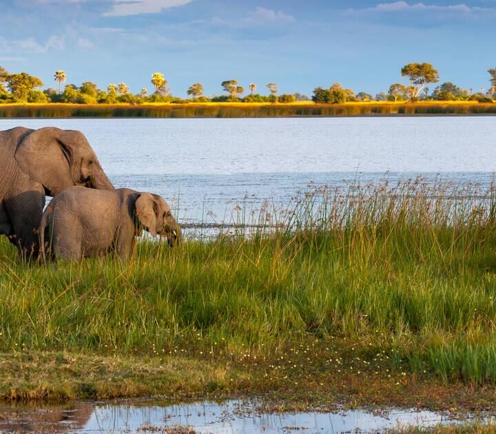 Okavango Delta, Botswana