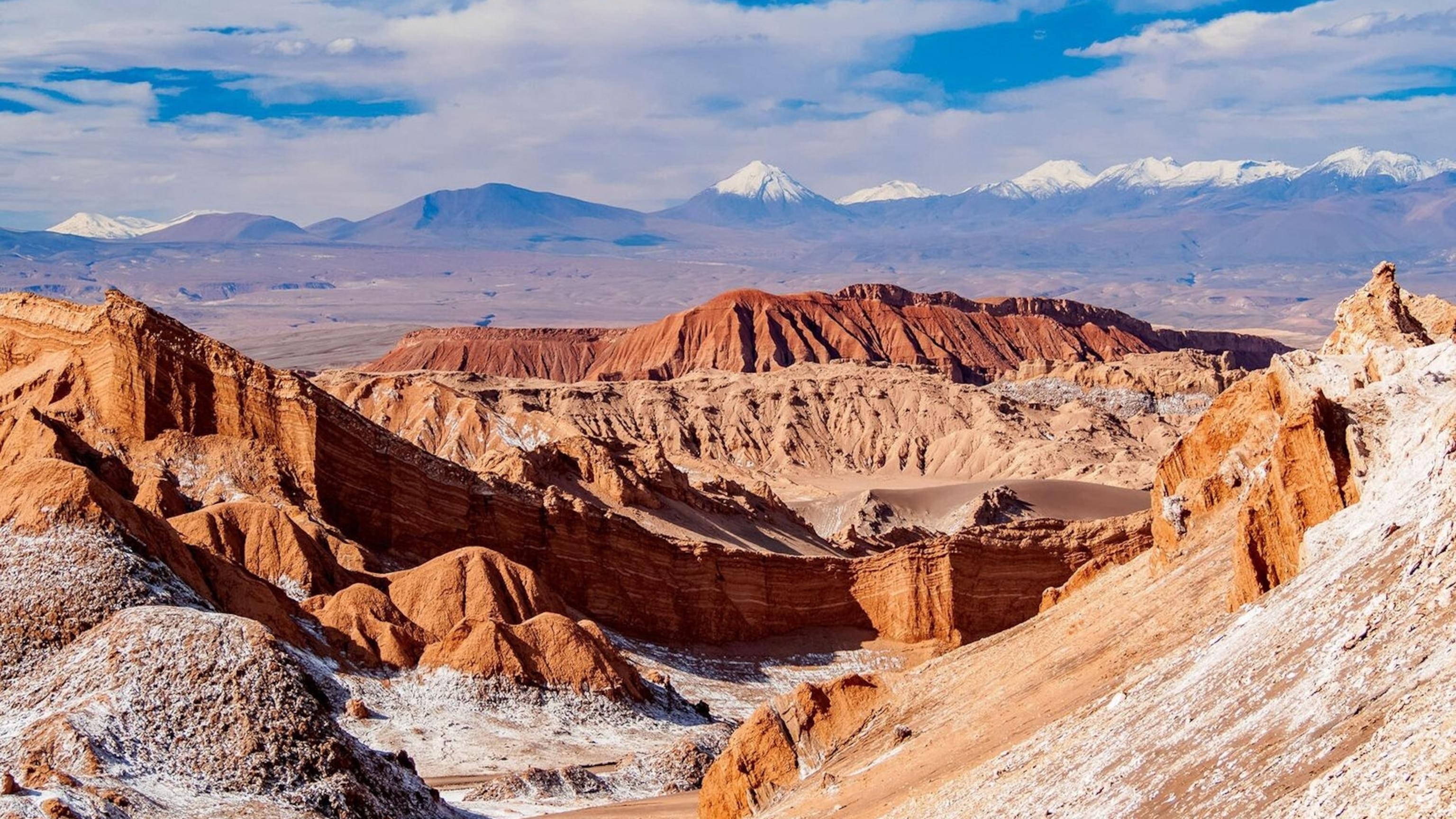 Exploring the Irregular Plant life‍ and Fauna of ⁣the Atacama Barren problem