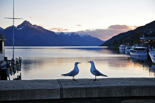 - Take dangle of pleasure within ⁤the Scenic ⁣Elegance of Queenstown: Search for Breathtaking Landscapes