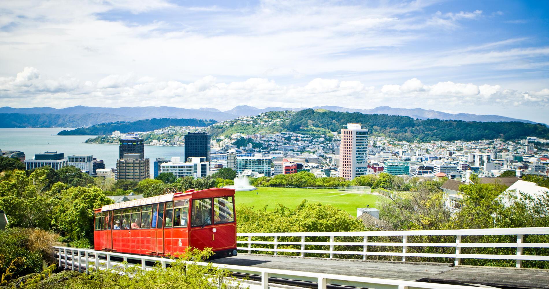 Indulging in Culinary Delights and Craft Beer in Wellington