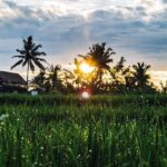 Ubud, Indonesia