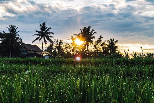 Ubud, Indonesia