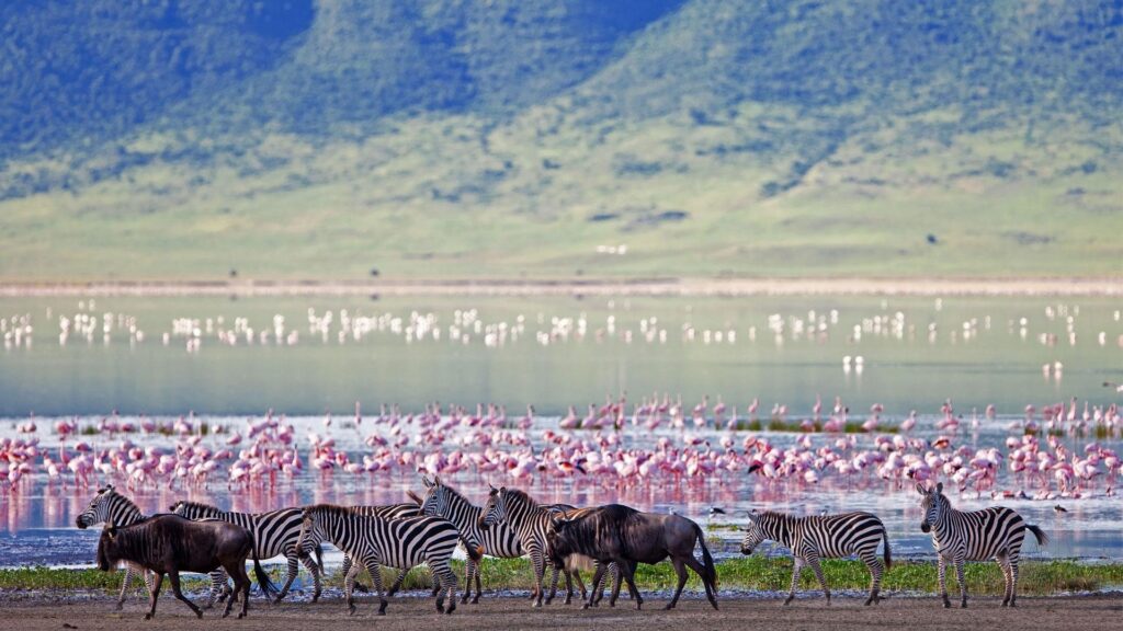 Ngorongoro Crater, Tanzania