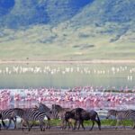 Ngorongoro Crater, Tanzania