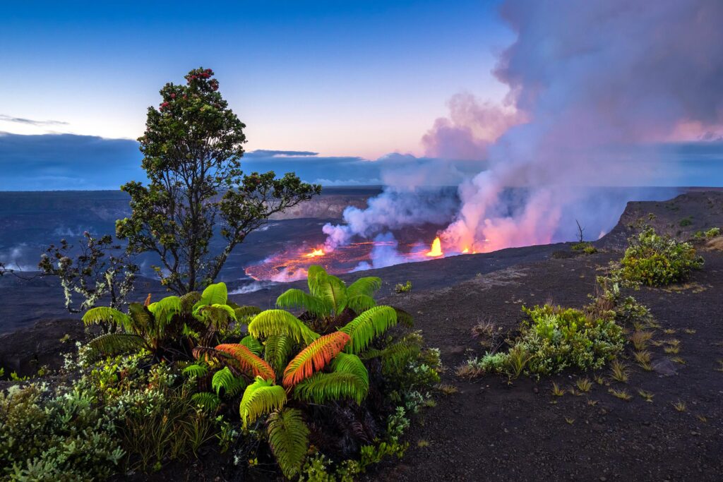 Volcanoes National Park, Rwanda