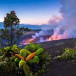 Volcanoes National Park, Rwanda