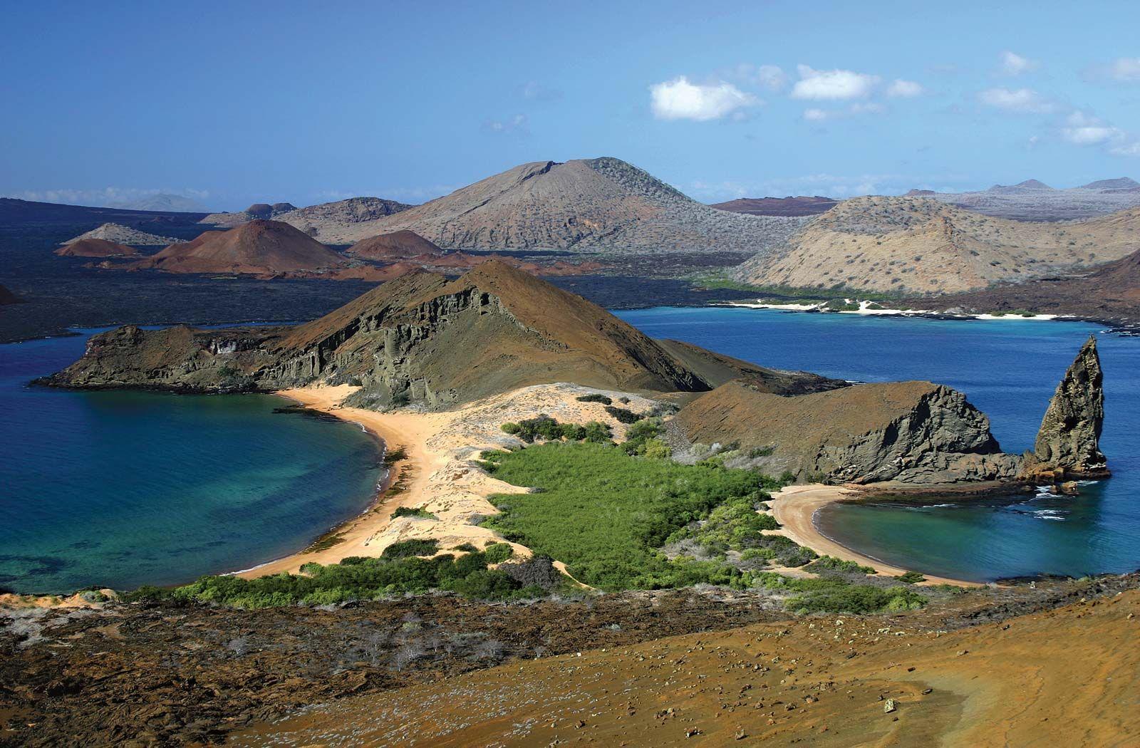 Survey the Challenging Wildlife of the Galápagos Islands