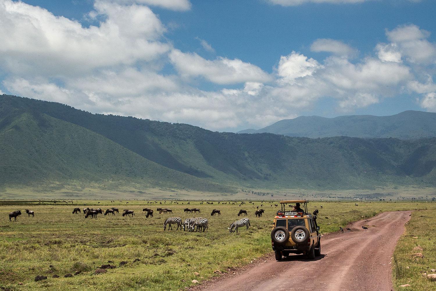 Must-Consult with Web sites for ⁢an Unparalleled Ngorongoro Crater ‌Whisk