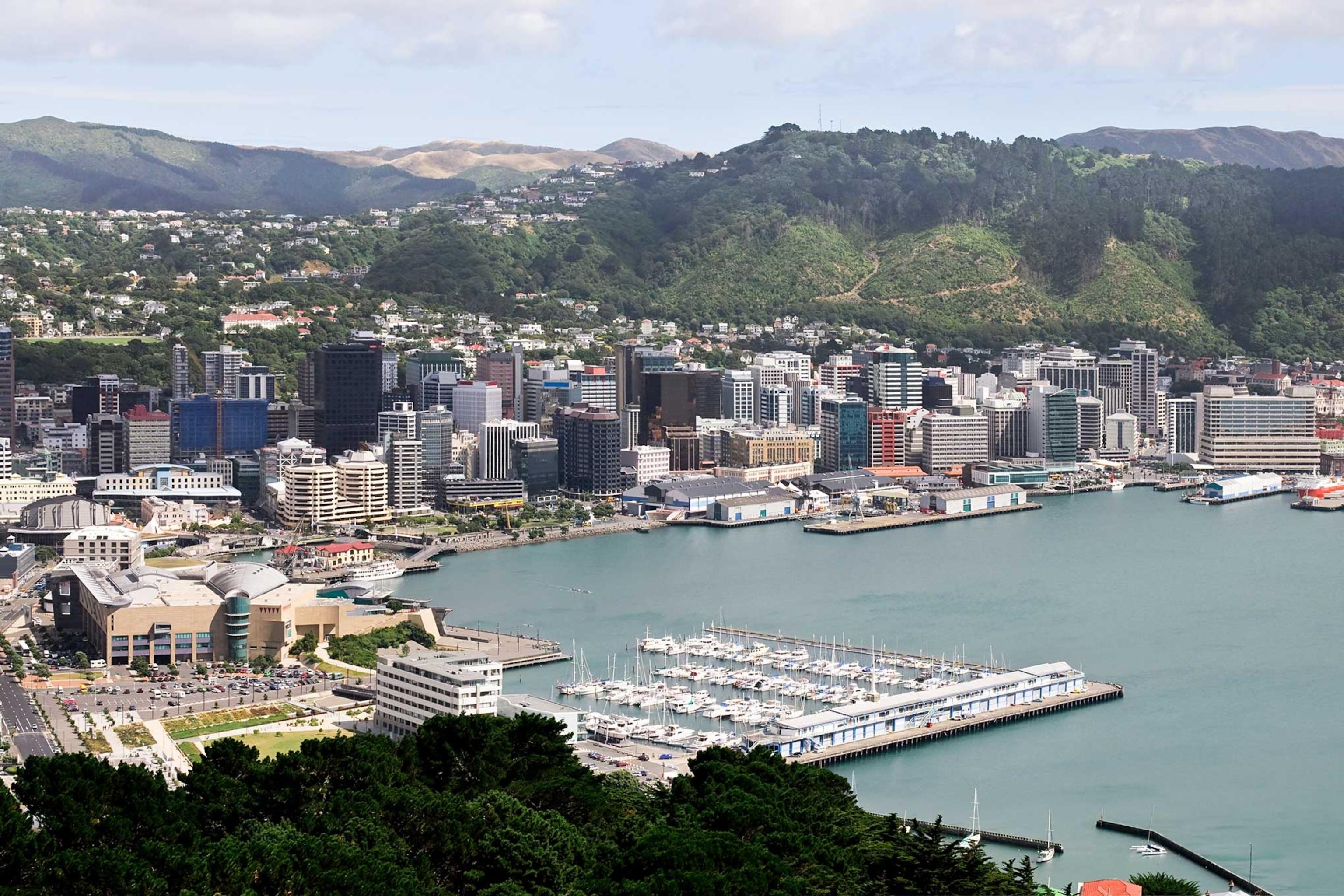 Immerse Yourself in Nature's​ Beauty in Wellington's Atmosphere