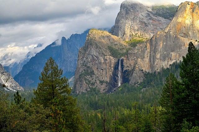 Capturing Unforgettable Moments in Yosemite's Wildflower Fields