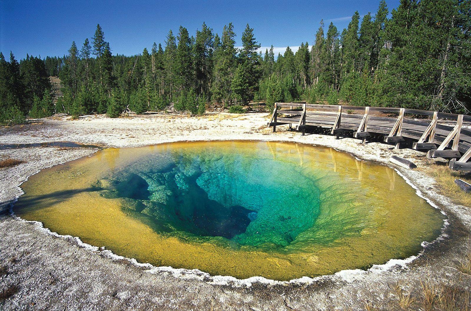 Gaze the Majestic Elegance of Yellowstone's Iconic Geysers