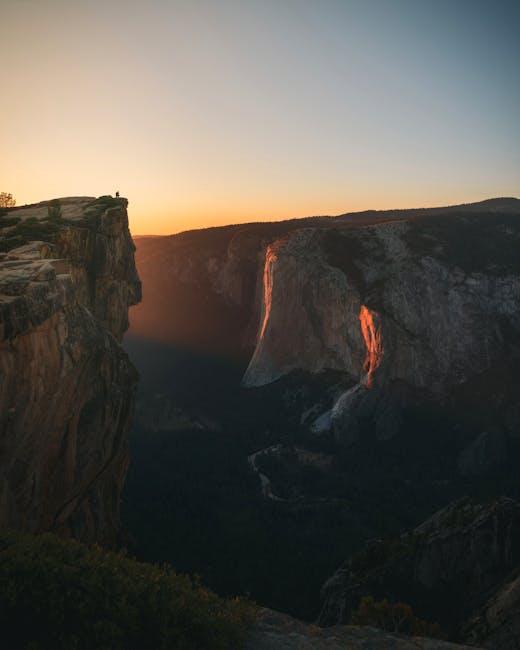 Unveiling the Rich Biodiversity and Irregular Natural world at Yosemite