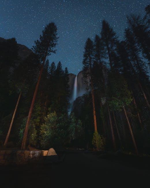 Immersing Yourself within the Pristine Nature and Tranquility of Yosemite Valley