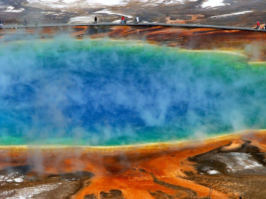 Immersing in the Spectacular Natural world Differ of Yellowstone Nationwide Park