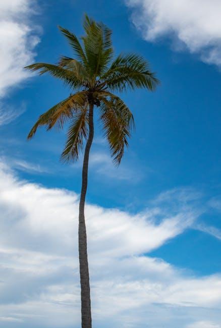 Darwin, Australia