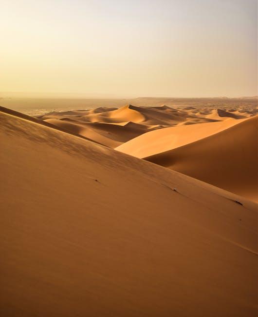 Sahara Wasteland, Morocco