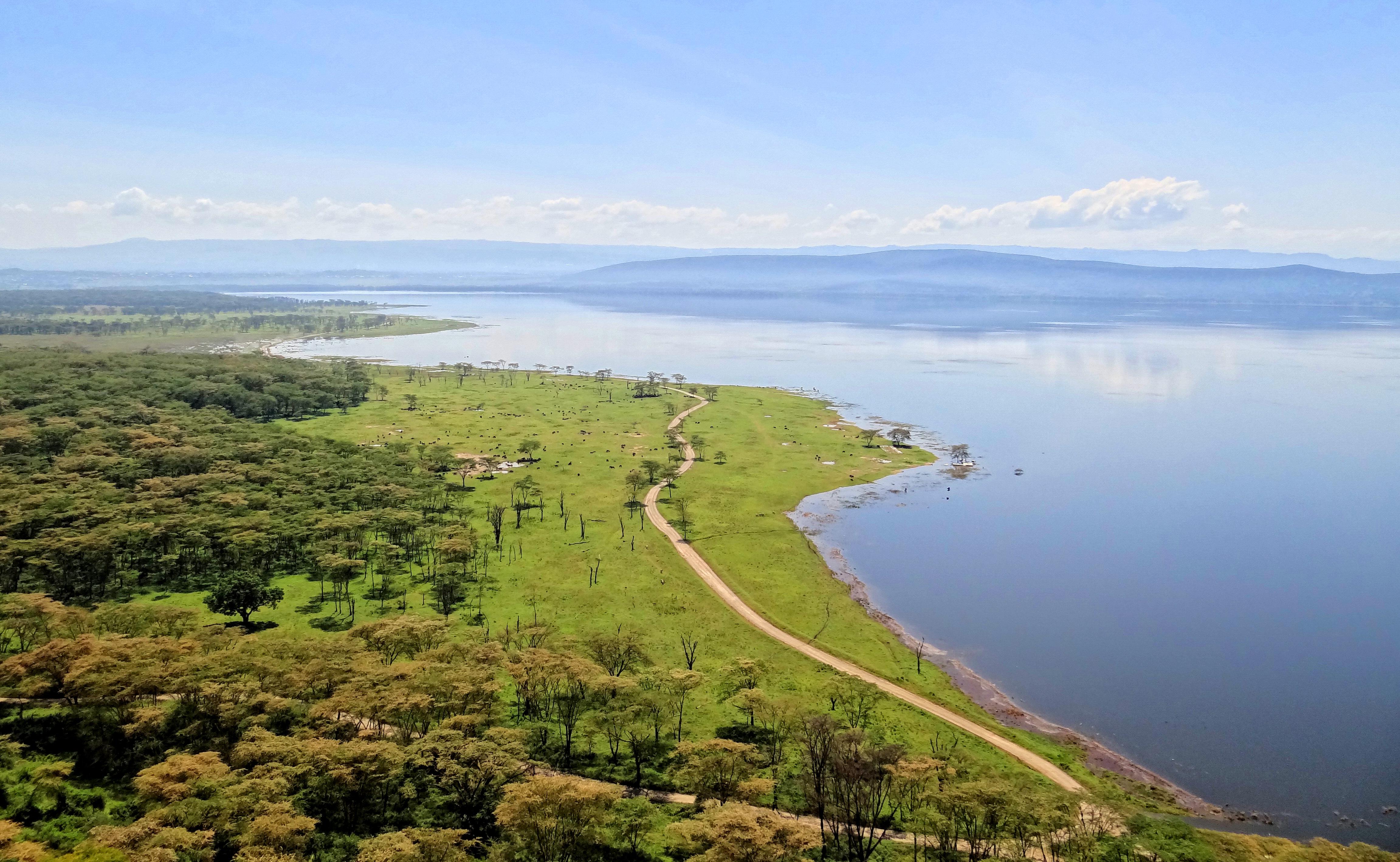 Embracing the Wild: Experiencing the ⁤Wildlife of⁢ Lake Nakuru