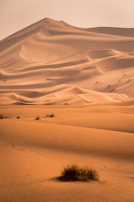 Exploring the Everlasting Class of the ⁣Sahara Wasteland, ‌Morocco