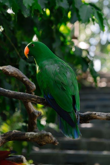 Rob pleasure within the Handsome Cuisine and Flavors of Vanuatu